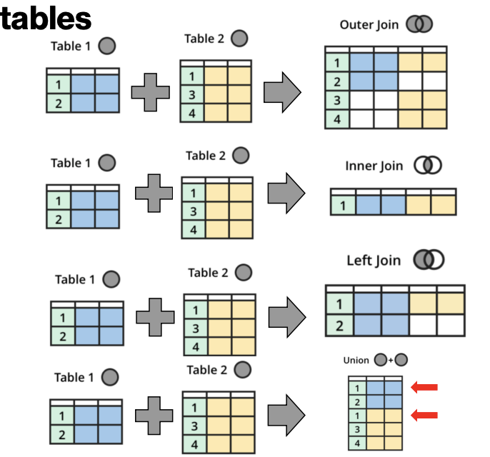 <p>Common ways to combine tables: </p><ul><li><p>Outer join: Preserve all data in both tables, even if values are missing <br></p></li><li><p>Inner join: Only preserve columns with data in both tables (no missing values) <br></p></li><li><p>Left (right) join: Maintain all values of table 1 (or 2), even if values are missing <br></p></li><li><p>Union (merge): Combine tables which share common columns – Note that a union or merge may result in duplicate rows</p></li></ul><p></p>