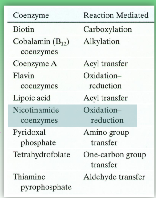 <ul><li><p>coenzymes are neccessary for enzyamtic fxn</p></li><li><p>examples:</p><ul><li><p>coenzyme A = acyl transfer</p></li><li><p>flavin coenzymes = redox rxns</p></li><li><p>nicotinamide coenzymes = redox rxns</p><ul><li><p>critical for metabolic rxns</p></li></ul></li></ul></li></ul><p></p>