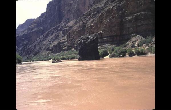 The red color of the Colorado River is due to:

a.       iron compounds

b.      saline water

c.       artesian water

d.      None of the above