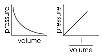 <p><span>P∝</span>1/<span>V</span> , At constant temperature: as the volume decreases the concentration of the particles increases, resulting in more collisions with the container walls. The increase in pressure is inversely proportional to the decrease in volume, i.e. doubling the pressure halves the volume</p>