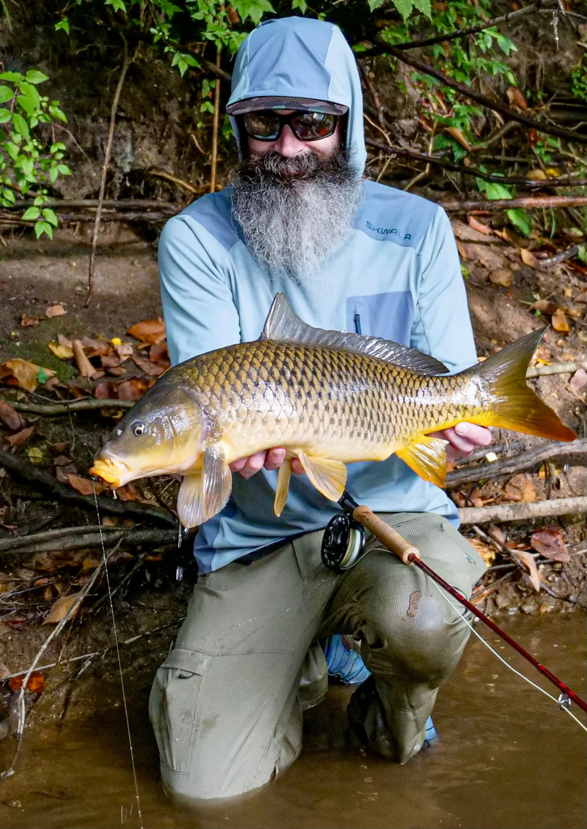 <p>carp</p>