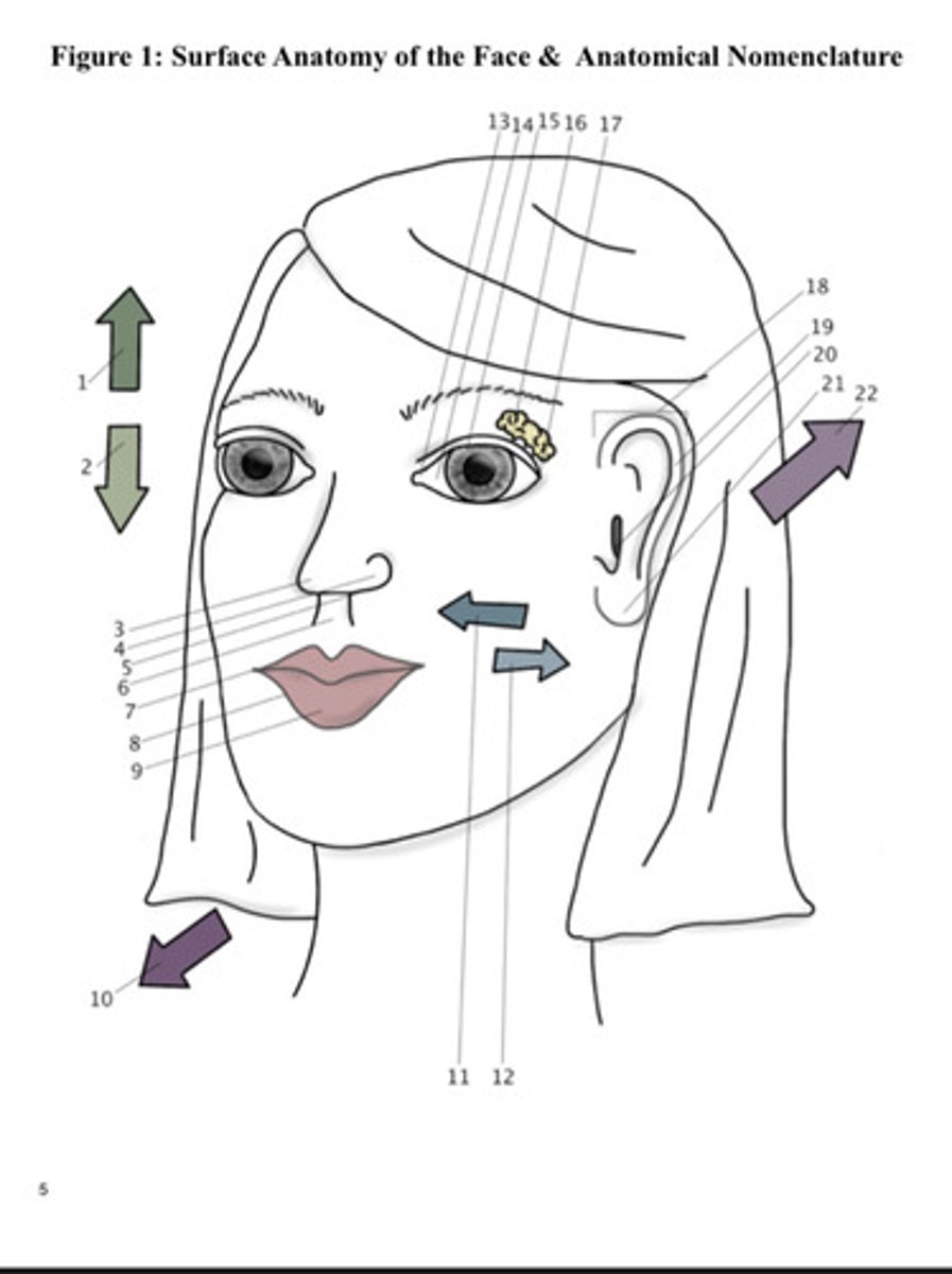 <p>Describe structures #1 and #2.</p>