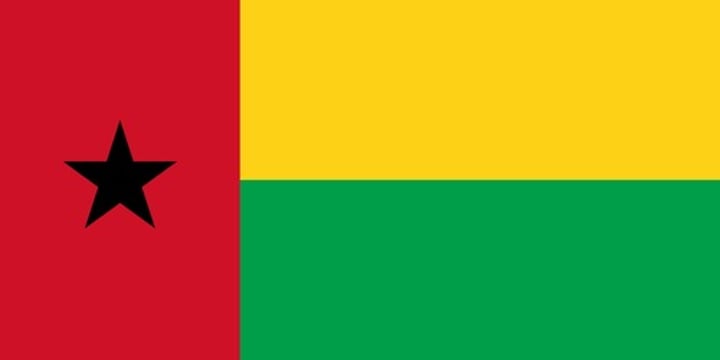 <p>The traditional Pan-African colors of gold, green, red, and also the Black Star of Africa, heavily influenced by the flag of Ghana.</p><p>Black star = the unity of Africa.</p><p>Red = the blood shed during the struggle for independence.</p><p>Yellow = the sun.</p><p>Green = hope.</p>