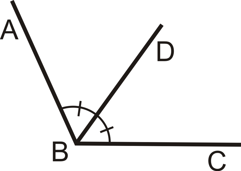 <p>a ray that contains the vertex and divides the angle into two congruent angles</p>