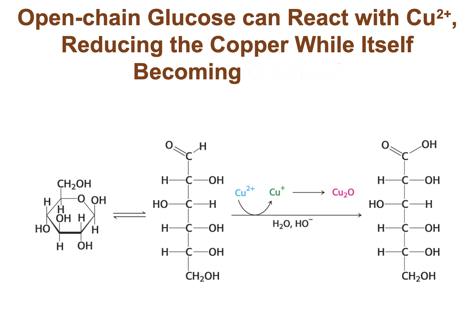 <p>Open-chain glucose can react with Cu+ reducing the copper while itself becoming </p>