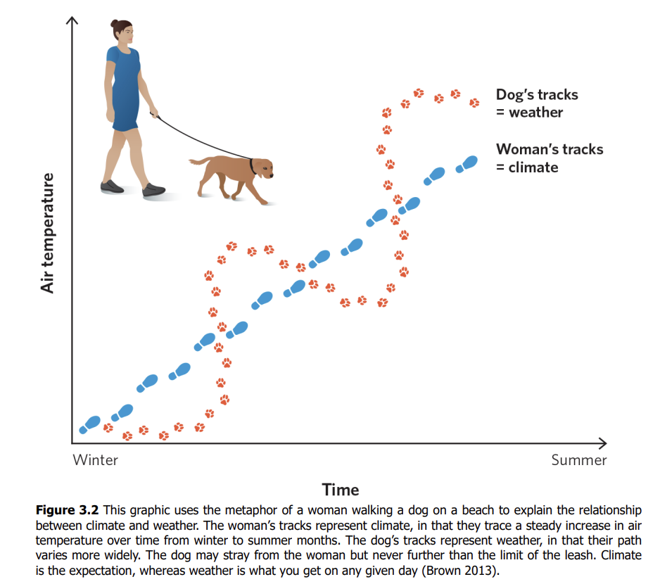 <p>Woman walking in straight line: Climate (steady, predictable trend).</p><p>Dog wandering on leash: Weather (erratic, unpredictable, but constrained by climate).</p><p>Weather fluctuates daily but follows long-term climate trends.</p><p></p>