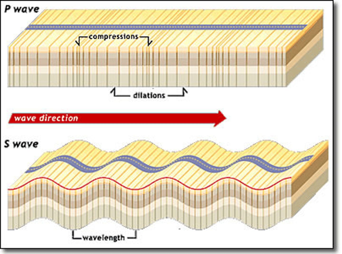 <p>Longitudinal, seismic waves</p>