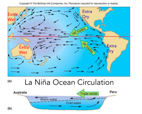 More Atlantic Hurricanes, El Nino absent, warmer sea surface, wetter summer. Correlation with increased wildfire activity in southwestern U.S.
