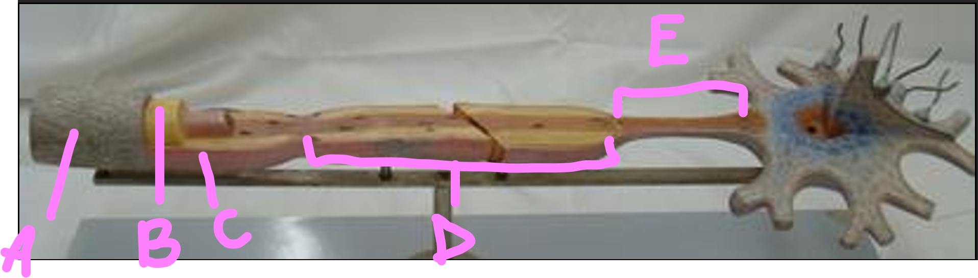 <p>What is A?</p>