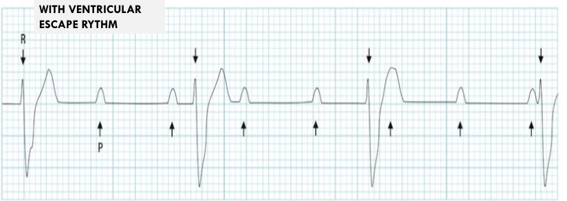 <p>what is this?</p>