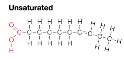 <p><span>Contain a carbon double bond formed by removal of H from carbon skeleton - chain with a bend in it</span></p>