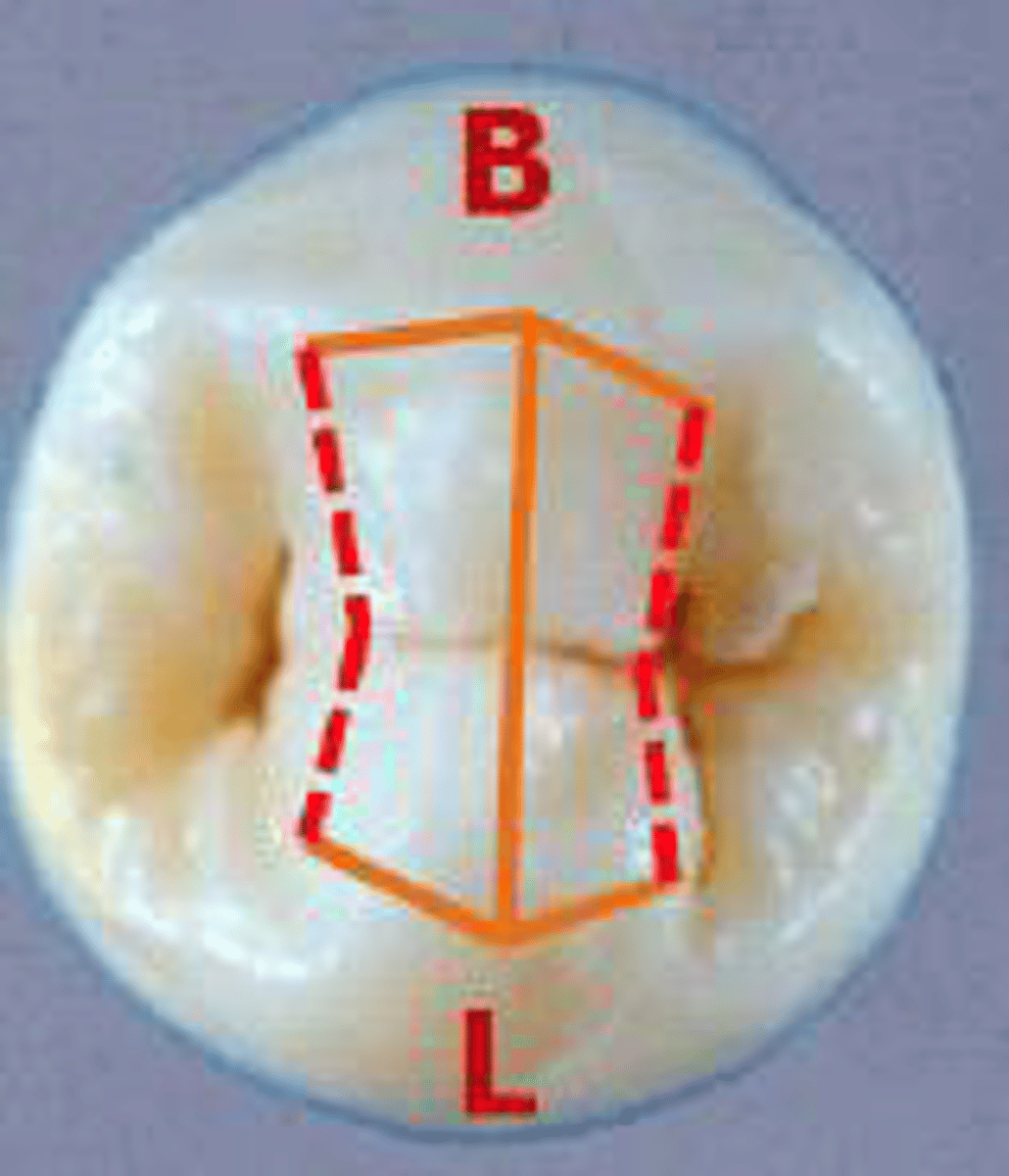 <p>what is this?</p>