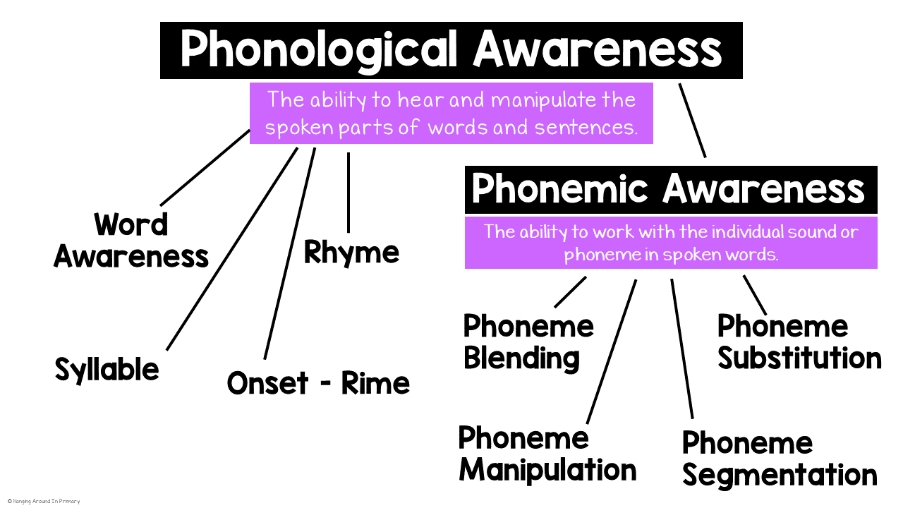 <p>The umbrella term for the ability to hear and manipulate parts of the words and sentences such as rhyming or counting syllables (this is a prerequisite for decoding).</p>