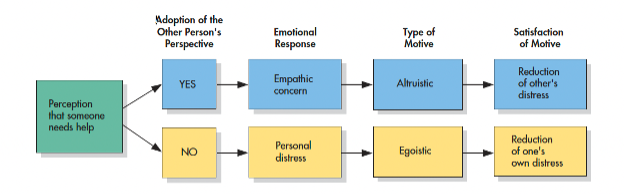 <ul><li><p>According to the empathy–altruism hypothesis, taking the perspective of a person in need creates feelings of empathic concern, which produce the altruistic motive to reduce the other person’s distress. When people do not take the other’s perspective, they experience feelings of personal distress, which produce the egoistic motive to reduce their own discomfort. Based on Batson, 1991.</p></li><li><p>The proposition that empathic concern for a person in need produces an altruistic motive for helping.</p></li></ul>