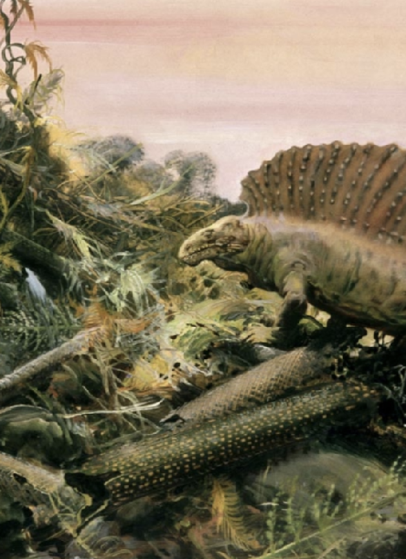 <ul><li><p><span><span>a massive asteroid impact, which created a chain reaction of catastrophic events that destroyed ecosystems worldwide during the Cretaceous-Paleogene time </span></span></p></li></ul><p></p>