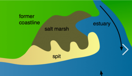 <p>an extended stretch of beach that projects out to the sea and is joined to the mainland on one end</p><p>ususally found at the mouth of a river</p><p>over time can develop a hook if the wind direction changes further out</p><p>waves can’t get past it, forming a sheltered area where silt is deposited - salt marshes</p>