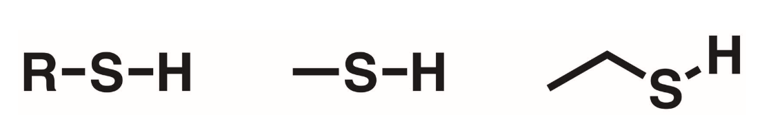 <p>H-S. A hydrogen directly bonded to a sulfur.</p>
