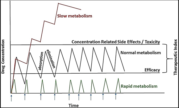 <ul><li><p><span><span>Ultrarapid metabolizers may need more frequent and/or higher doses</span></span></p></li><li><p><span><span>Poor metabolizers may need less frequent and/or lower doses.</span></span></p></li></ul><ul><li><p><span><span>Poorly calculated dosing schedules could cause toxicity in poor metabolizers.</span></span></p></li></ul><p></p>