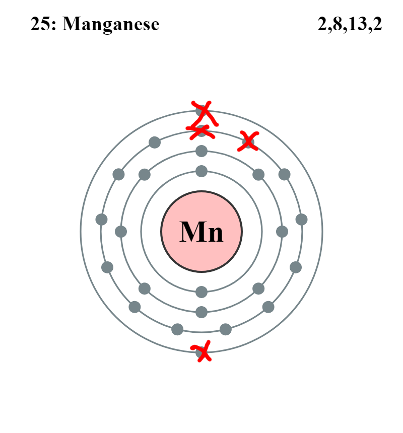 <p>Mn⁴⁺ (Monatomic Cation)</p>