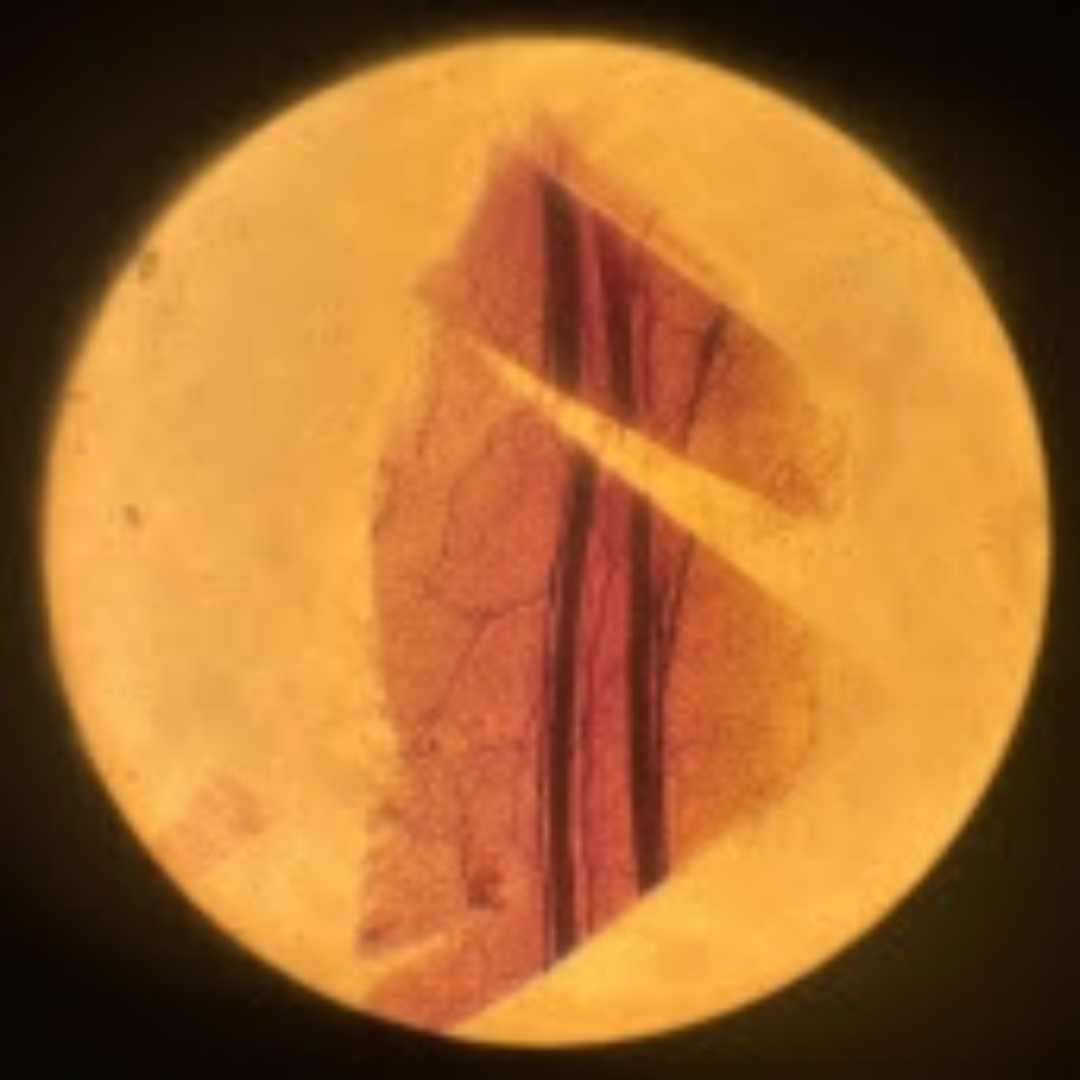 term image