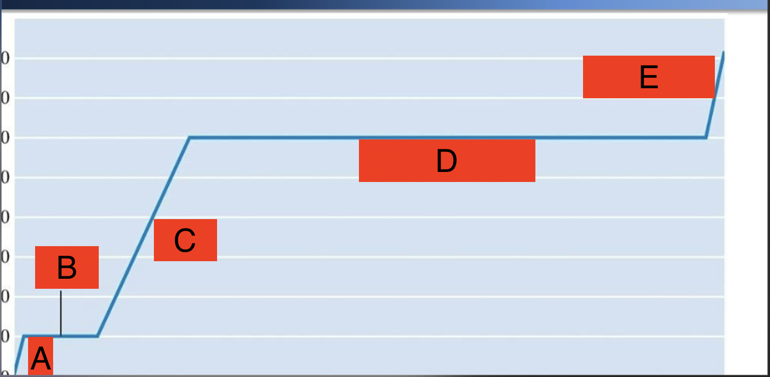 <p>What’s A-E show in phases?</p>