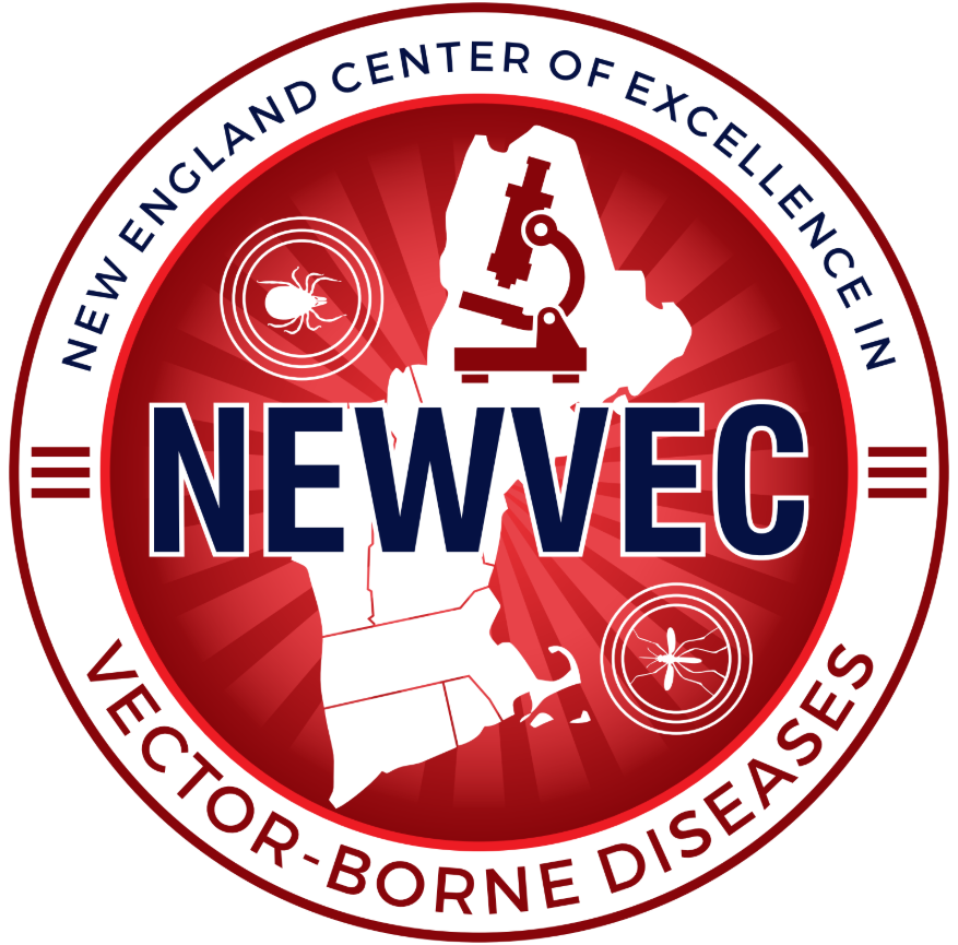 <p></p><p><strong>What bacteria causes Lyme disease?</strong></p><p></p><p>a) <em>Borrelia burgdorferi</em></p><p></p><p>b)<em> Salmonella enterica</em></p><p></p><p>c)<em> E. coli</em></p><p></p><p>d)<em> Plasmodium falciparum</em></p>