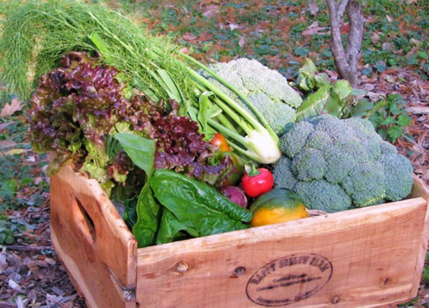 <p>A system in which consumers pay farmers in advance for a share of their yield, usually in the form of weekly deliveries of produce.</p>