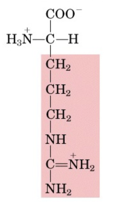 <p>What’s this aminoacid?</p>