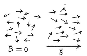 <ul><li><p>neemt toe bij stijgend veld</p></li><li><p>neemt af bij toenemende temp.</p></li></ul><p></p>