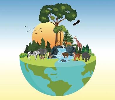 <p>The variety of genes, species, ecosystems, and ecosystem processes.</p>