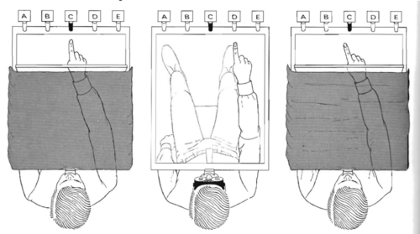 <p>Position sense of the arm, not visual system</p>