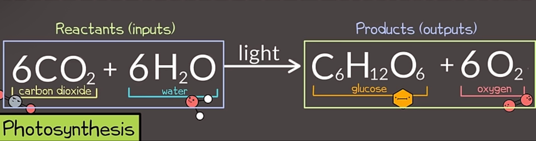 <p>Reactants (Inputs): Carbon Dioxide, Water</p><p>Process: w/ light</p><p>Products (Outputs): Oxygen, Glucose</p>