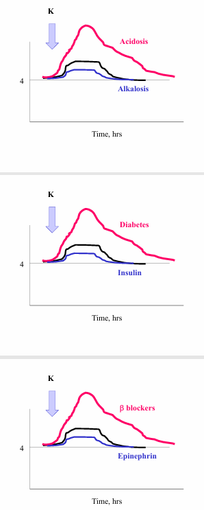 <p>-re-distribution and by urinary excretion</p>