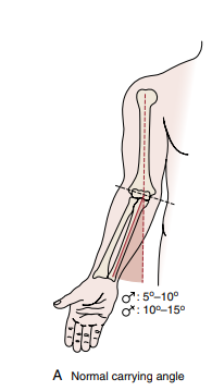 <p>Normal carrying angle for<br>MALE: <u>5–10 degrees (11° to 14° dalawa value ni magee ang gulo)</u></p><p>FEMALE: <u>10 -15 degrees (13° to 16°)</u></p><p>Note that cubitus valgus is normal, but excessive cubitus valgus is a deformity</p>