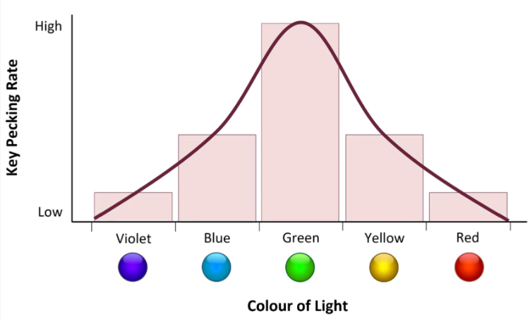 <p>SD/S+ can be generalized, stimuli similarity will affect rate of response. Must exist in same modality (existence)</p><p>i.e. pigeon will peck button when light is green SD/S+, but also sometimes at light with similar wavelength</p>