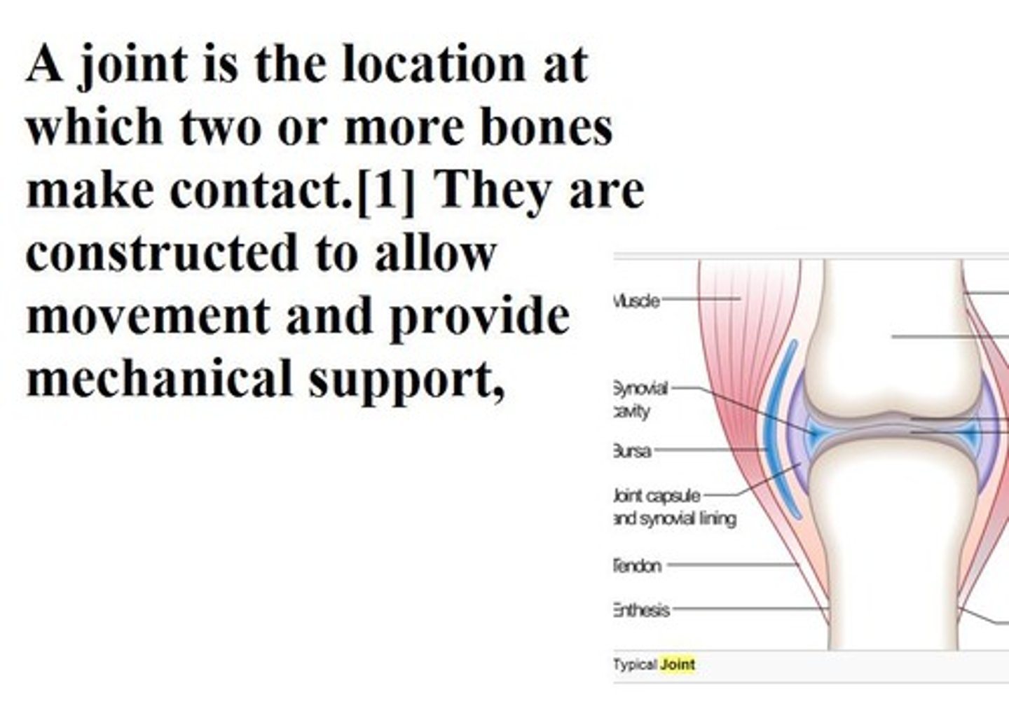 <p>joint</p>