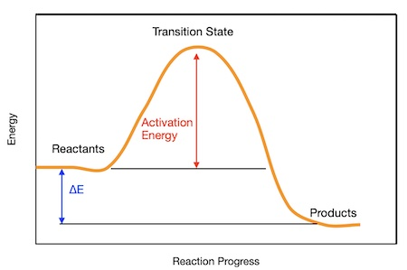 <p>activation energy - required by molecules to form reaction </p><ul><li><p>but this also depends on correct orientation </p></li></ul><p>depending on where reactants and product line up, exo vs endothermic (product up, endo vs product down, exo)</p>