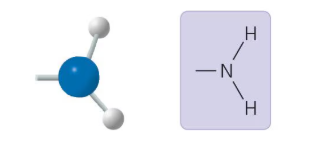 <p>What functional group is this?</p>