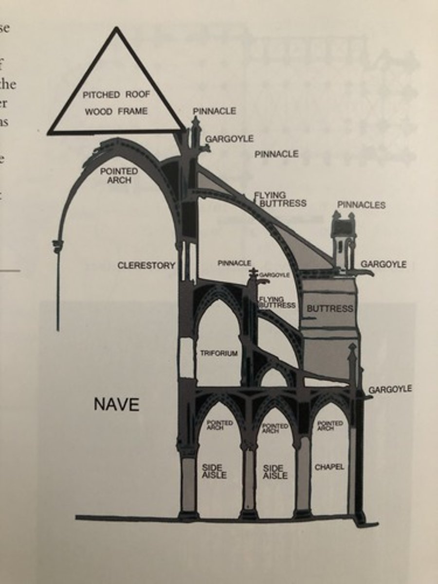 <p>know how to label<br><br>Gothic</p>