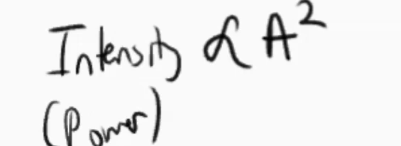 <p>the amplitude squared</p>