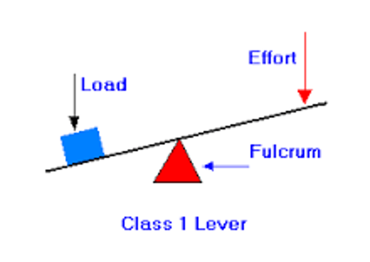 <p>the pivot point of a lever</p>