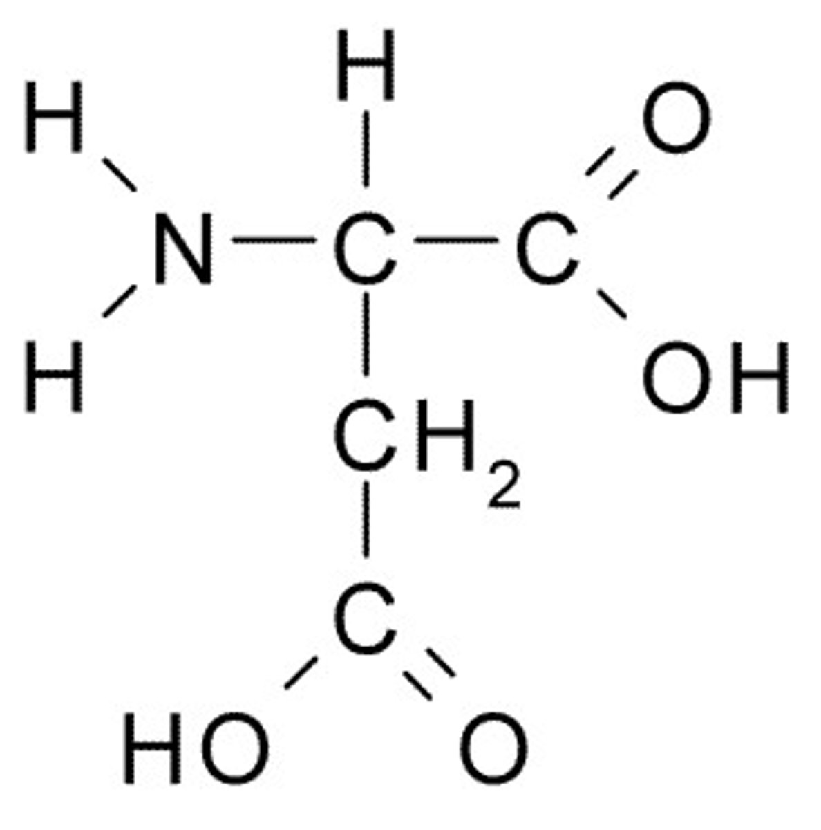 <p>(Asp, D) acidic, negatively charged</p>