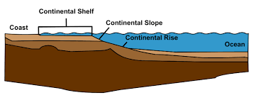 <p>part of the contiental margins, located at the basin of the continental slopes </p><p>ocean bottom flattened to a 1 degree gradient </p><ul><li><p><span style="font-family: &quot;EB Garamond&quot;, serif"><strong>Can extend more than 500km from the base of the continental slope to water depths approaching 4 km&nbsp;</strong></span></p></li><li><p><span style="font-family: &quot;EB Garamond&quot;, serif"><strong>No great topographic relief, except in areas where submarine canyons extend their channels onto the rise&nbsp;</strong></span></p></li><li><p><span style="font-family: &quot;EB Garamond&quot;, serif"><strong>Underlain by deposits of sediment that are very thick</strong></span></p><ul><li><p><span style="font-family: &quot;EB Garamond&quot;, serif"><strong>Derived from the erosion of rock and sediment from nearby landmasses</strong></span></p></li></ul></li></ul><p></p>