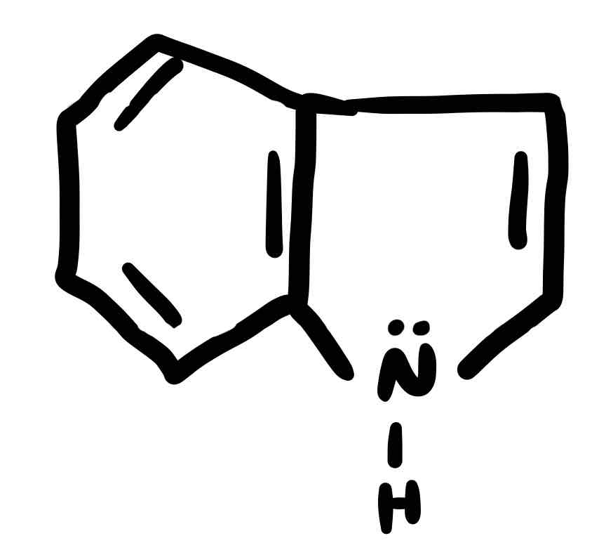 <p>Benzene + pyrrole (N#1)</p>