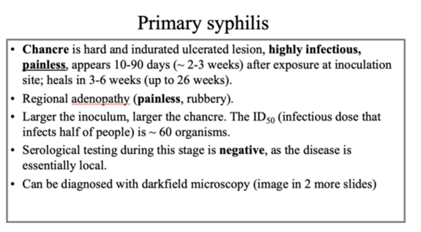 <p>chancre (appears anywhere with contact)</p>