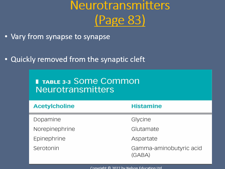 <p><span><strong>Effect of drugs </strong>(cocaine), <strong>diseases</strong> (Parkinson’s disease), <strong>infection</strong> (tetanus) on Synaptic transmission</span></p><p class="MsoNormal"><span>&nbsp;</span></p>