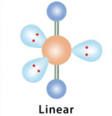 <p>electron domain: trigonal pyramidal</p>