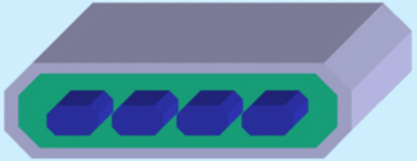 <p>Vascular Bundles of similar dimensions</p>