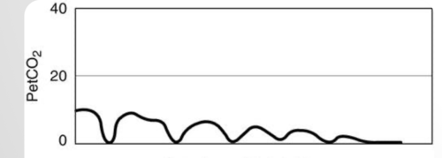 <p>What could explain this capnograph?</p>
