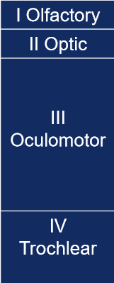 <ul><li><p>nuclei</p></li><li><p>sensory or motor</p></li><li><p>parasympathetic or not</p></li><li><p>function </p></li></ul><p></p>